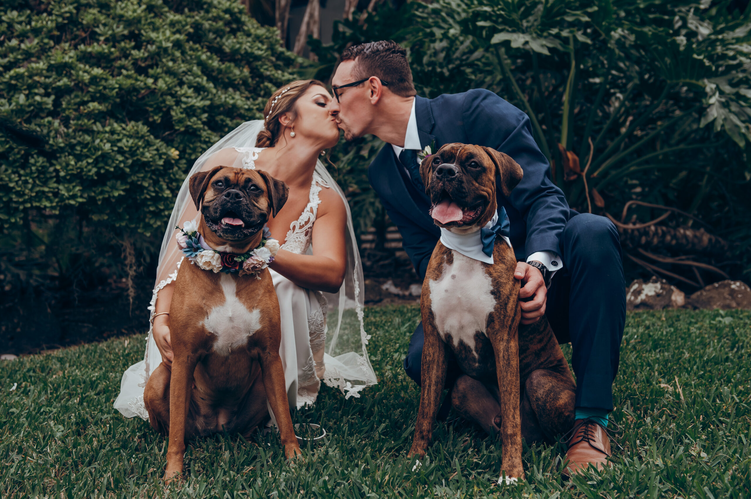 bride and groom posing with their dogs in the venue garden