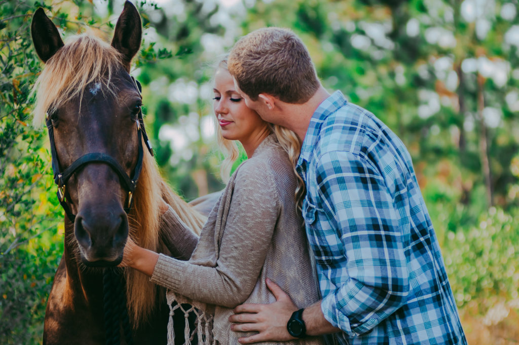 engagement couple photo shoot at the wood with the horse