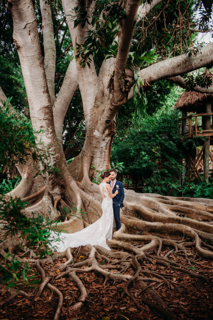 A couple who decided get married at Marie Selby Botanic Gardens in Sarasota pose at front of iconic Florida tree